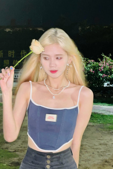 灿烂的花园综艺免费观看